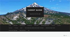 Desktop Screenshot of carrotquinn.com